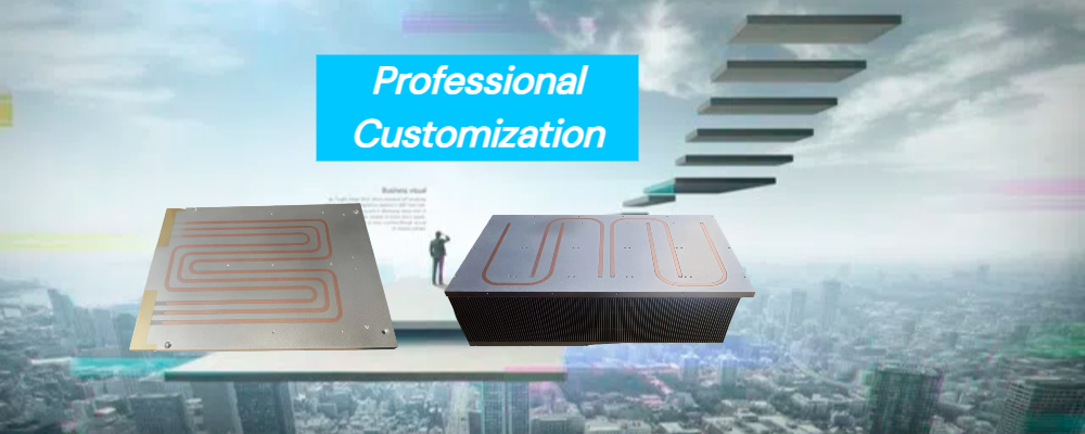 Professional Customization